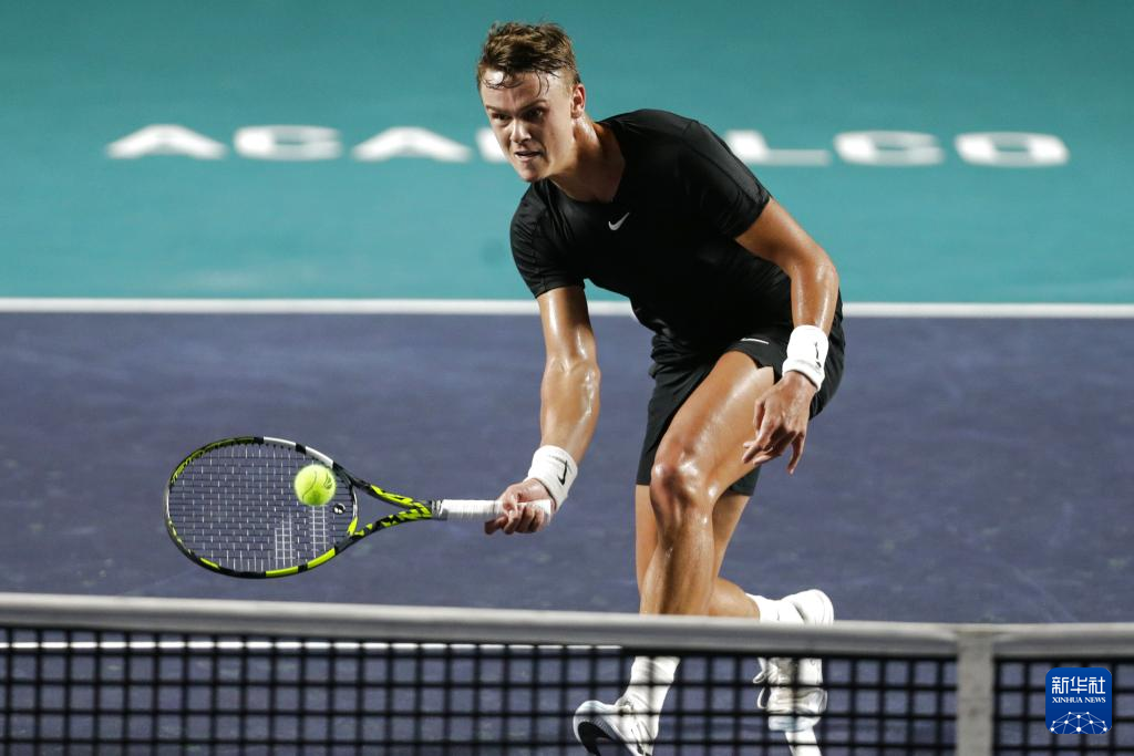 在她的职业 在她的职业