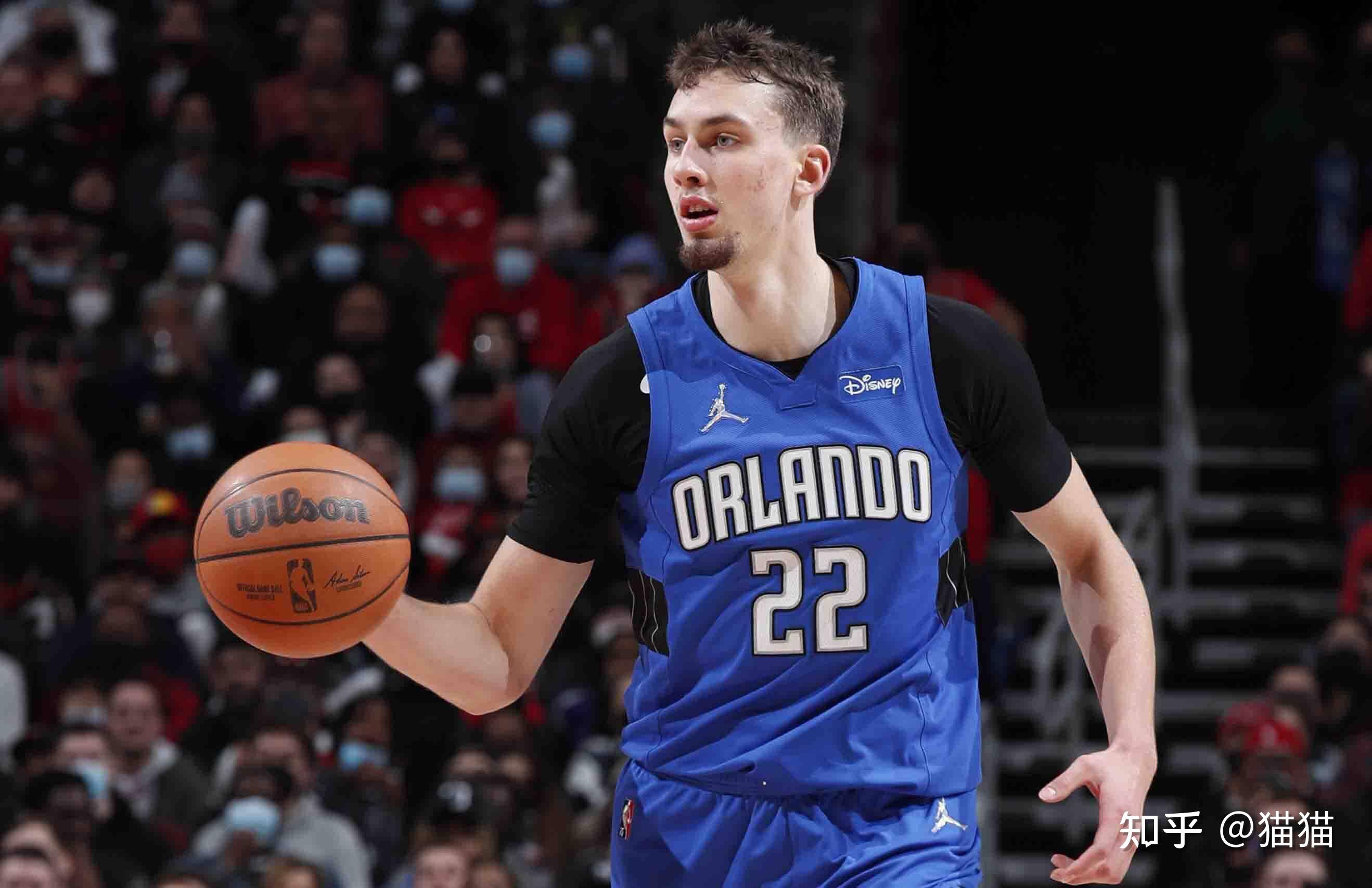 供了稳定的 供了稳定的